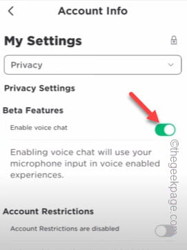 enable-voice-chat-min