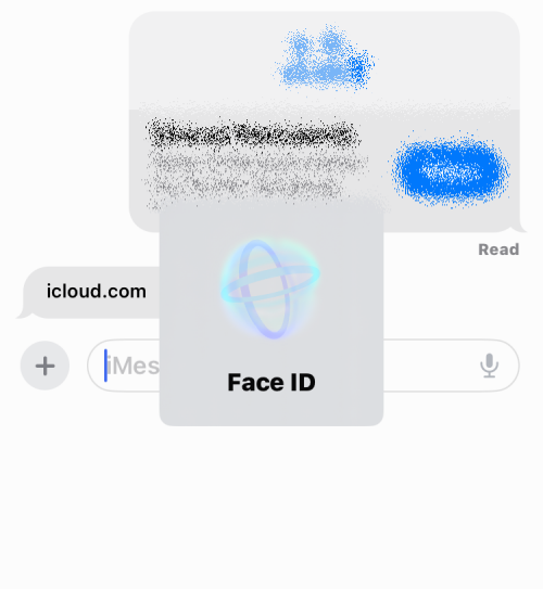 insert-contacts-and-passwords-on-ios-17-messages-20-a