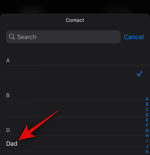 ios-17-contact-widget-call-and-message-button-9