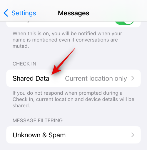 ios-17-how-to-use-check-ins-42