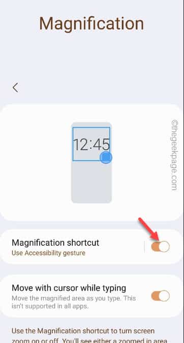 magnification-shortcuts-min
