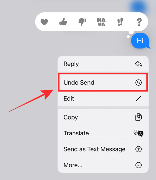 undo-send-imessage-2