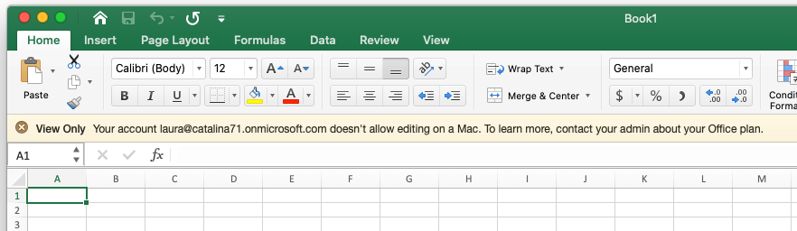 Excel_Does_Not_Allow_Editing