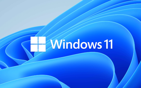 Windows 11 错误是否已修复？了解其稳定之旅