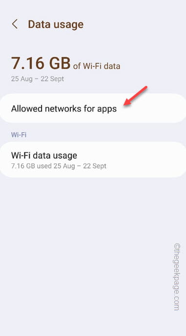allowed-networks-for-apps-min