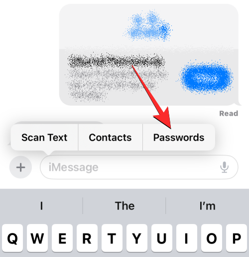 insert-contacts-and-passwords-on-ios-17-messages-6-b