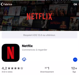 netflix-in-app-store