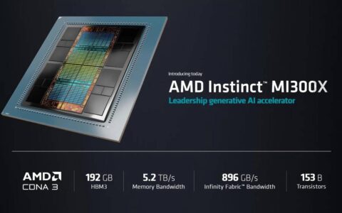 AMD Instinct Mi 300X 高性能加速器，用于生成式 AI
