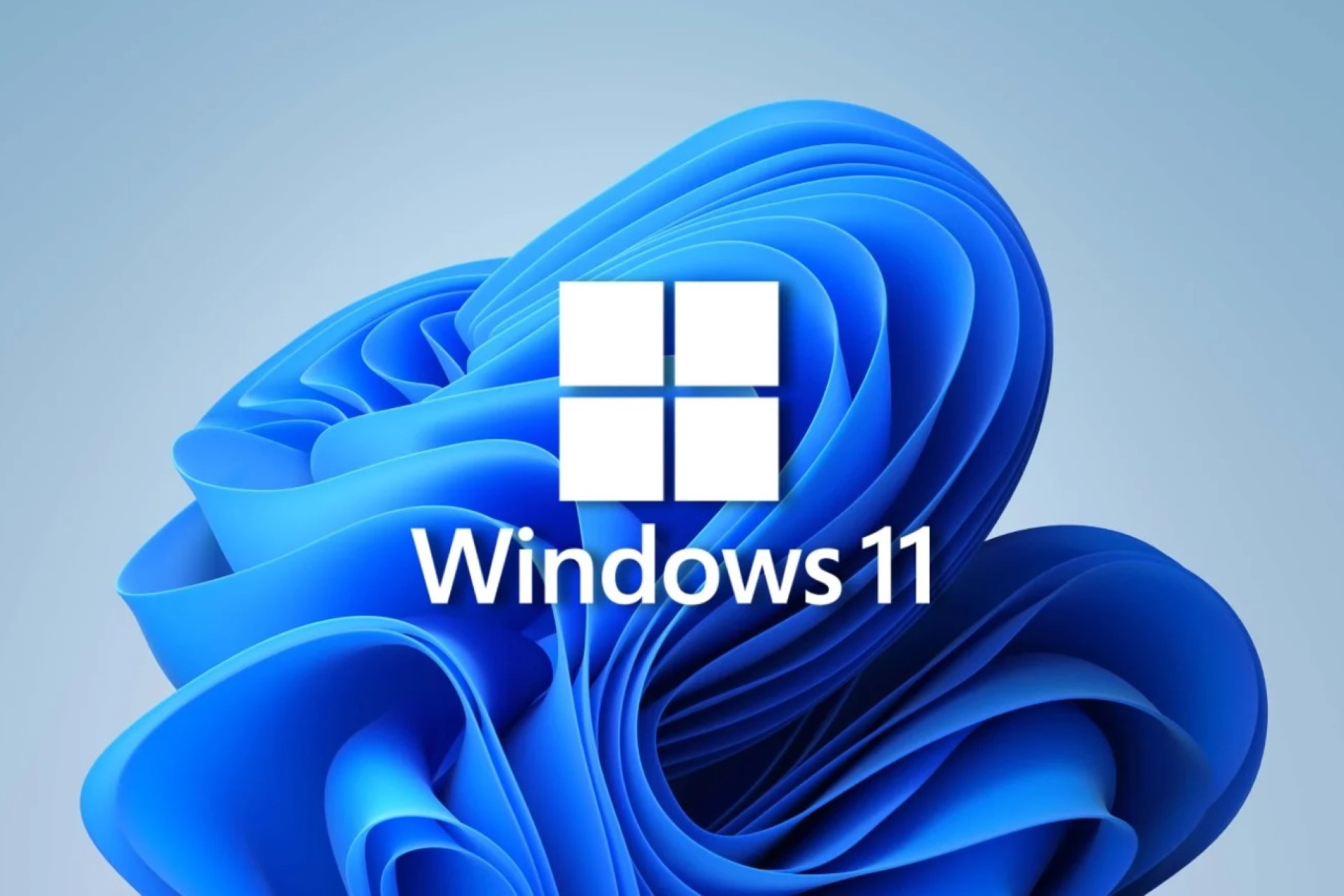 Windows-11-logo-Custom