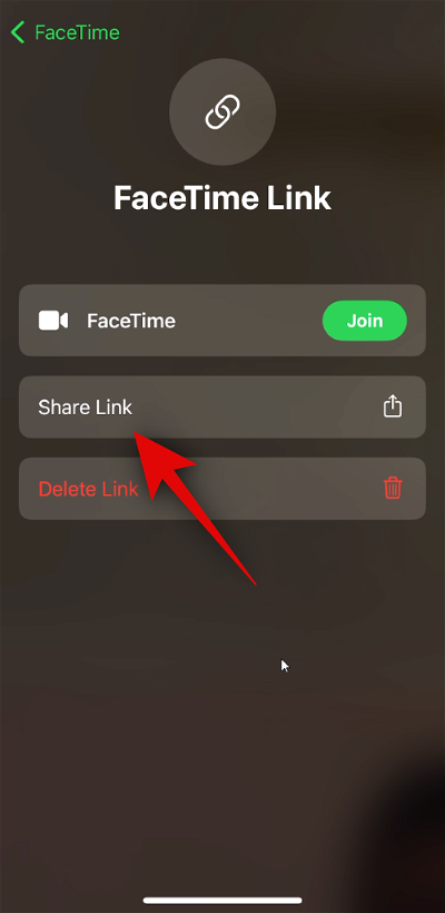 how-to-facetime-windows-users-ios-new-48