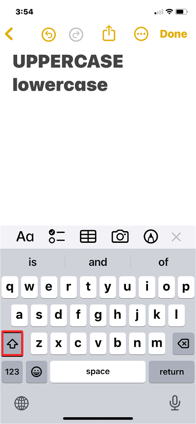 lowercase-on-iphone-10-a-739x1600-1