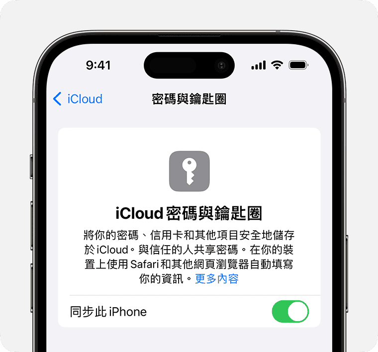 ios-17-iphone-14-pro-settings-apple-id-icloud-passwords-keychain
