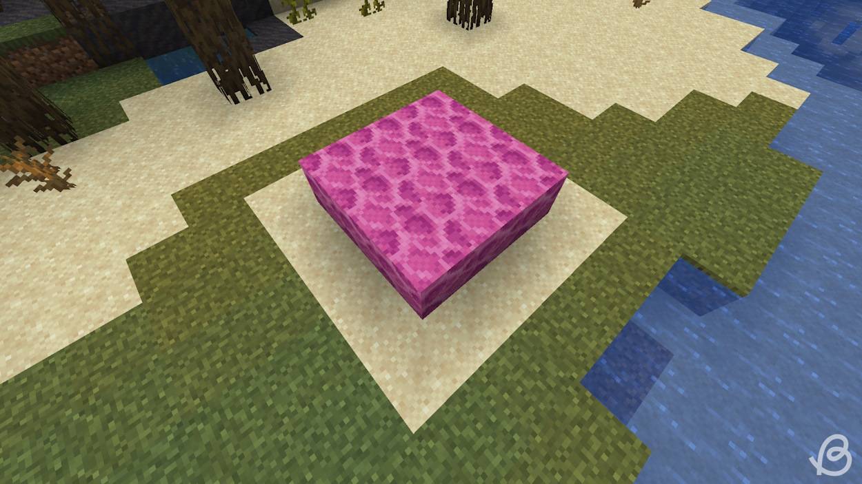 Sea-pickles-Minecraft-Coral-blocks-placed-above-the-water-