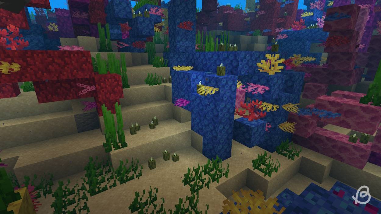 Sea-pickles-Minecraft-Naturally-generated-sea-pickles-in-a-warm-ocean