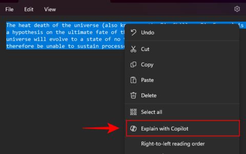 如何在 Windows 11 中的记事本上使用 Copilot 解释