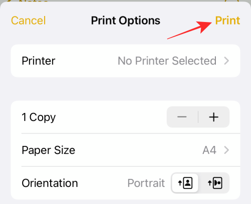 how-to-print-any-document-to-pdf-4-a