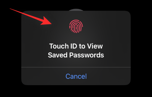ios-154-add-notes-to-saved-passwords-2