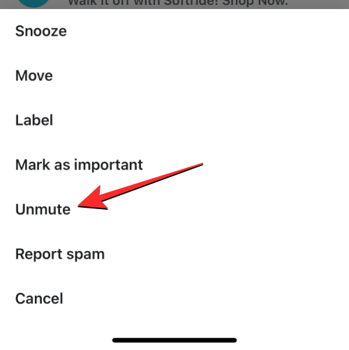 unmute-in-gmail-app-14-a