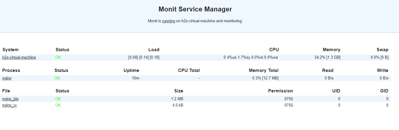 Add-services-to-Monitor-in-Monit