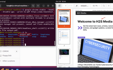 如何在 Ubuntu 上安装和使用 Chrome Headless？