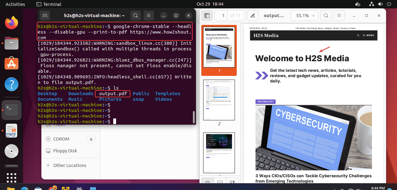 Chrome-headless-save-PDF-Ubuntu