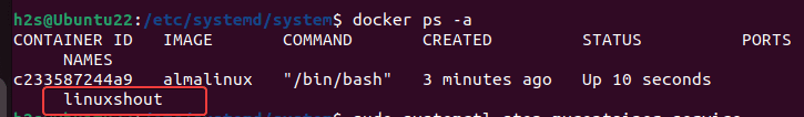 Find-Docker-container-name
