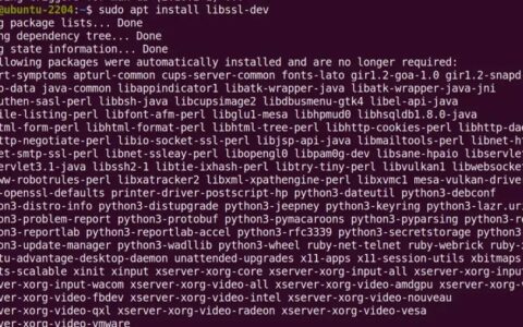 在 Ubuntu Linux 上安装 OpenSSL 库