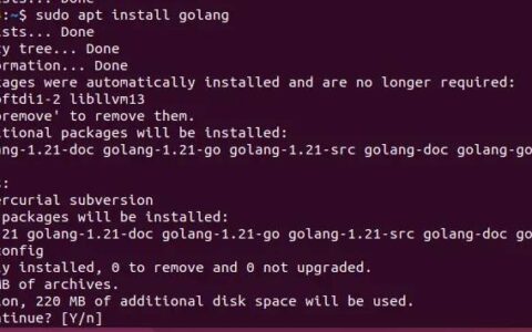 Golang：在 Ubuntu 上安装 Go 24.04、22.04 或 20.04 Linux