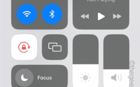 FaceTime在iPhone设置中显示为灰色：修复