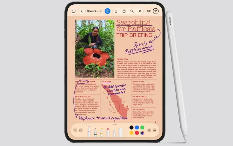 applepencil-duo-800x500-1 applepencil-duo-800x500-1